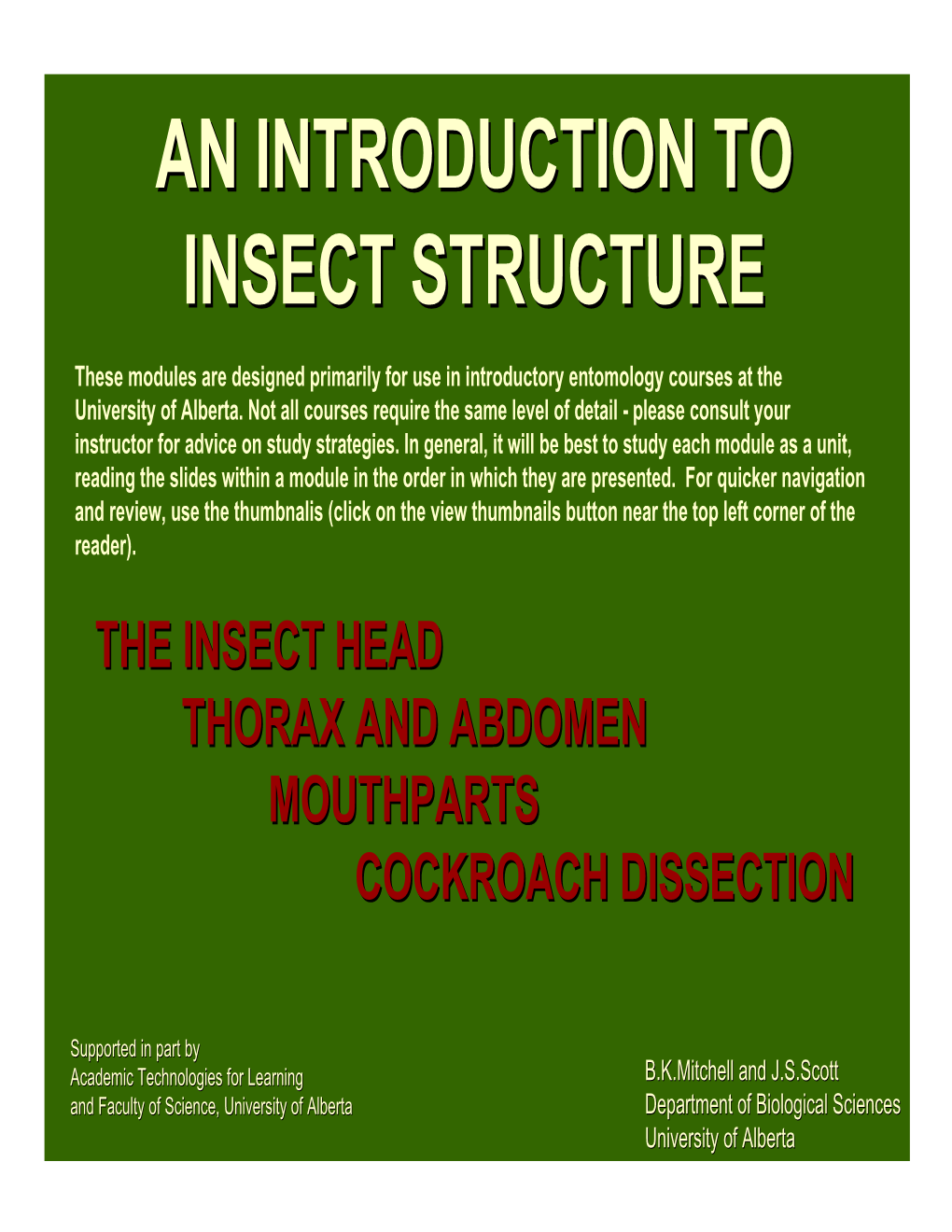 An Introduction to Insect Structure