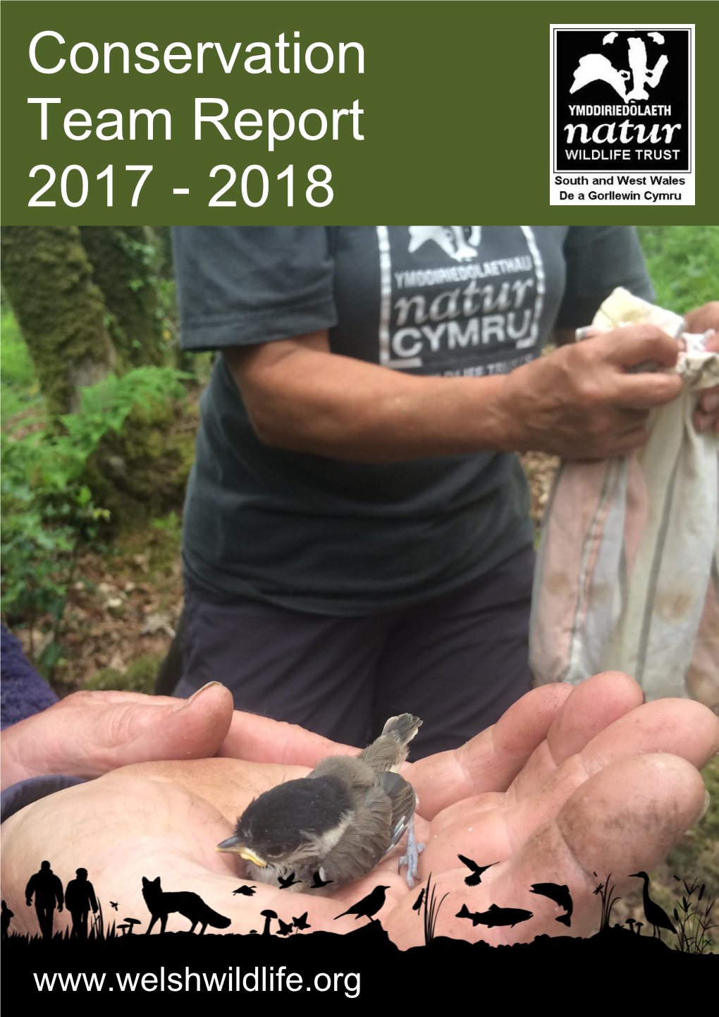 Conservation Team Report 2017