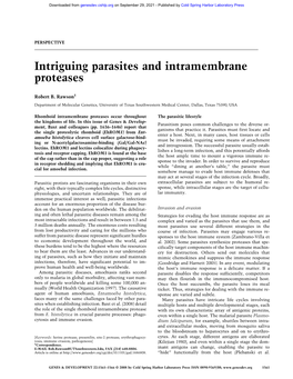 Intriguing Parasites and Intramembrane Proteases
