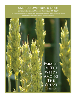 Parable of the Weeds Among the Wheat