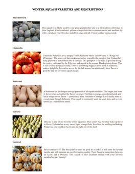 Winter Squash Varieties and Descriptions
