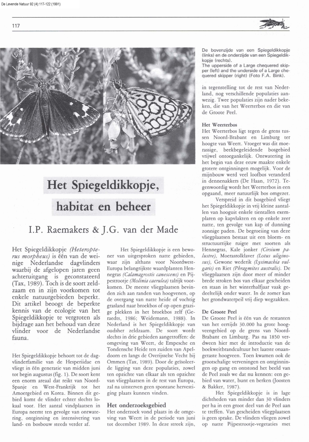 Het Spiegeldikkopje, Habitat En Beheer. DLN 92