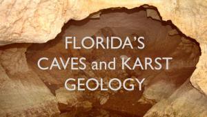 Florida's Caves and Karst Geology