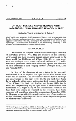 Of Tiger Beetles and Ubiquitous Ants: Hazardous Living Amongst Tenacious Prey