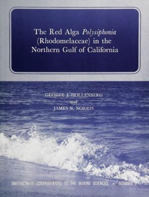 The Red Alga Polysiphonia (Rhodomelaceae) in the Northern Gulf of California