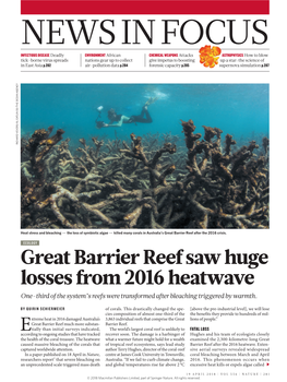Great Barrier Reef Saw Huge Losses from 2016 Heatwave One-Third of the System’S Reefs Were Transformed After Bleaching Triggered by Warmth