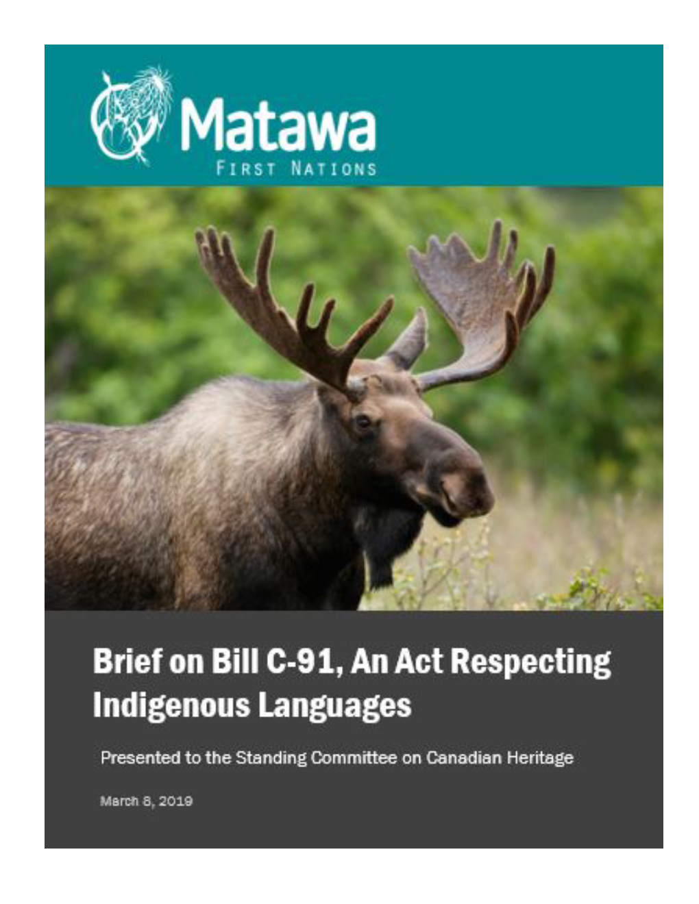 Brief to the Standing Committee on Canadian Heritage on Bill C-91, An