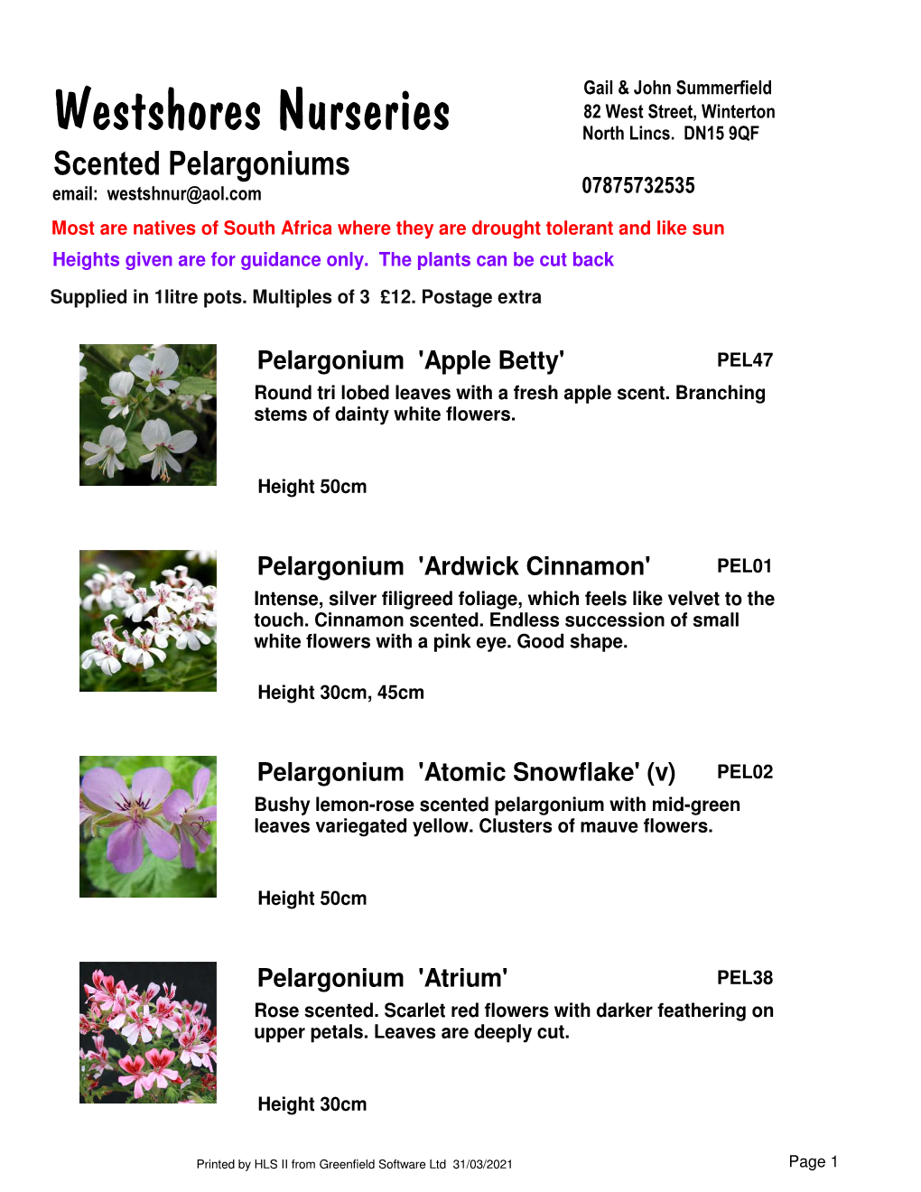 Scented Pelargoniums