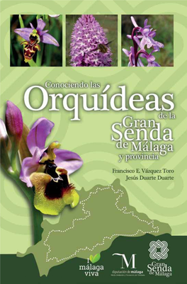 Conociendo Las Orquídeas De La Gran Senda De Málaga Y Provincia