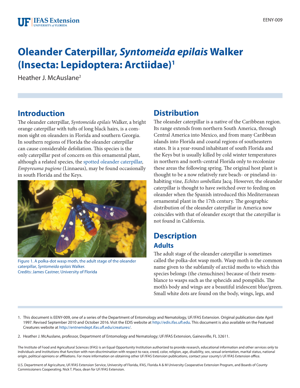 Oleander Caterpillar, Syntomeida Epilais Walker (Insecta: Lepidoptera: Arctiidae)1 Heather J