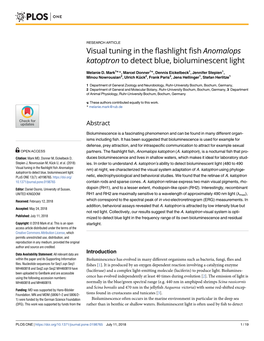 Visual Tuning in the Flashlight Fish Anomalops Katoptron to Detect Blue, Bioluminescent Light