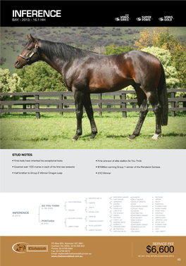 Stallion Brochure