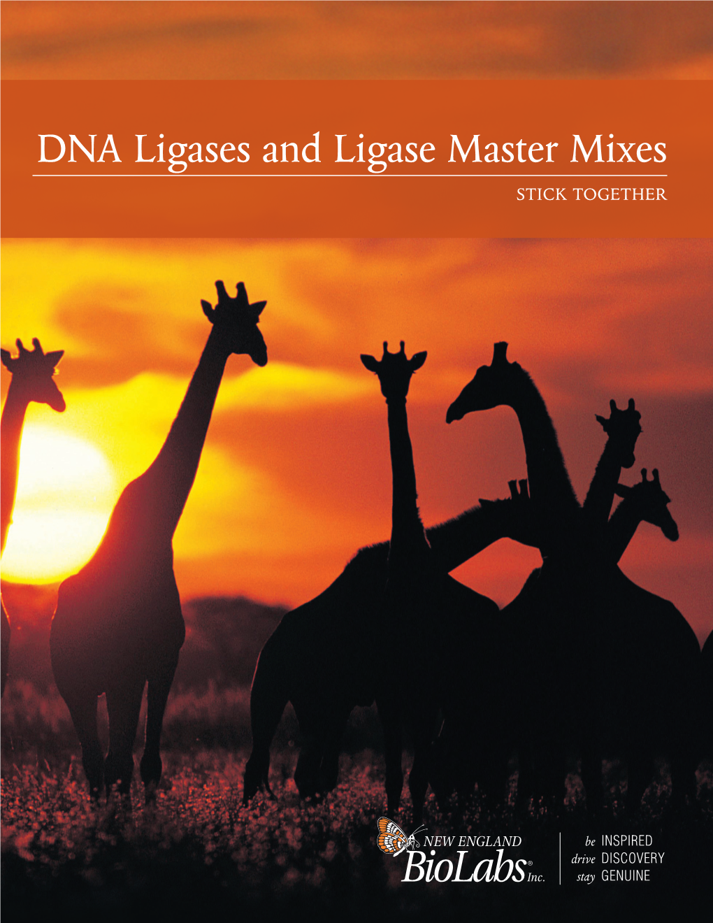 DNA Ligases and Ligase Master Mixes STICK TOGETHER