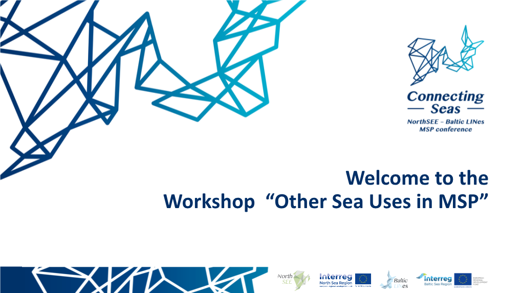 Welcome to the Workshop “Other Sea Uses in MSP” Scope