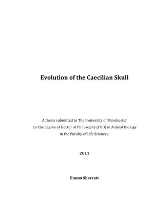 Evolution of the Caecilian Skull