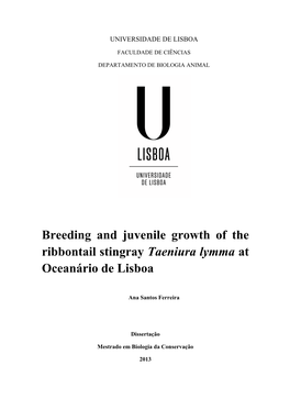 Breeding and Juvenile Growth of the Ribbontail Stingray Taeniura Lymma at Oceanário De Lisboa