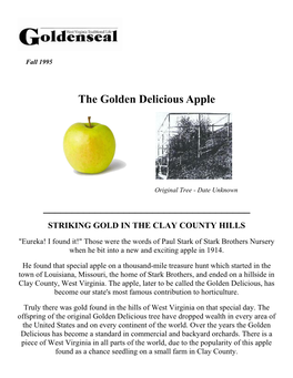 The Golden Delicious Apple