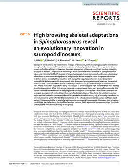 High Browsing Skeletal Adaptations in Spinophorosaurus Reveal an Evolutionary Innovation in Sauropod Dinosaurs D