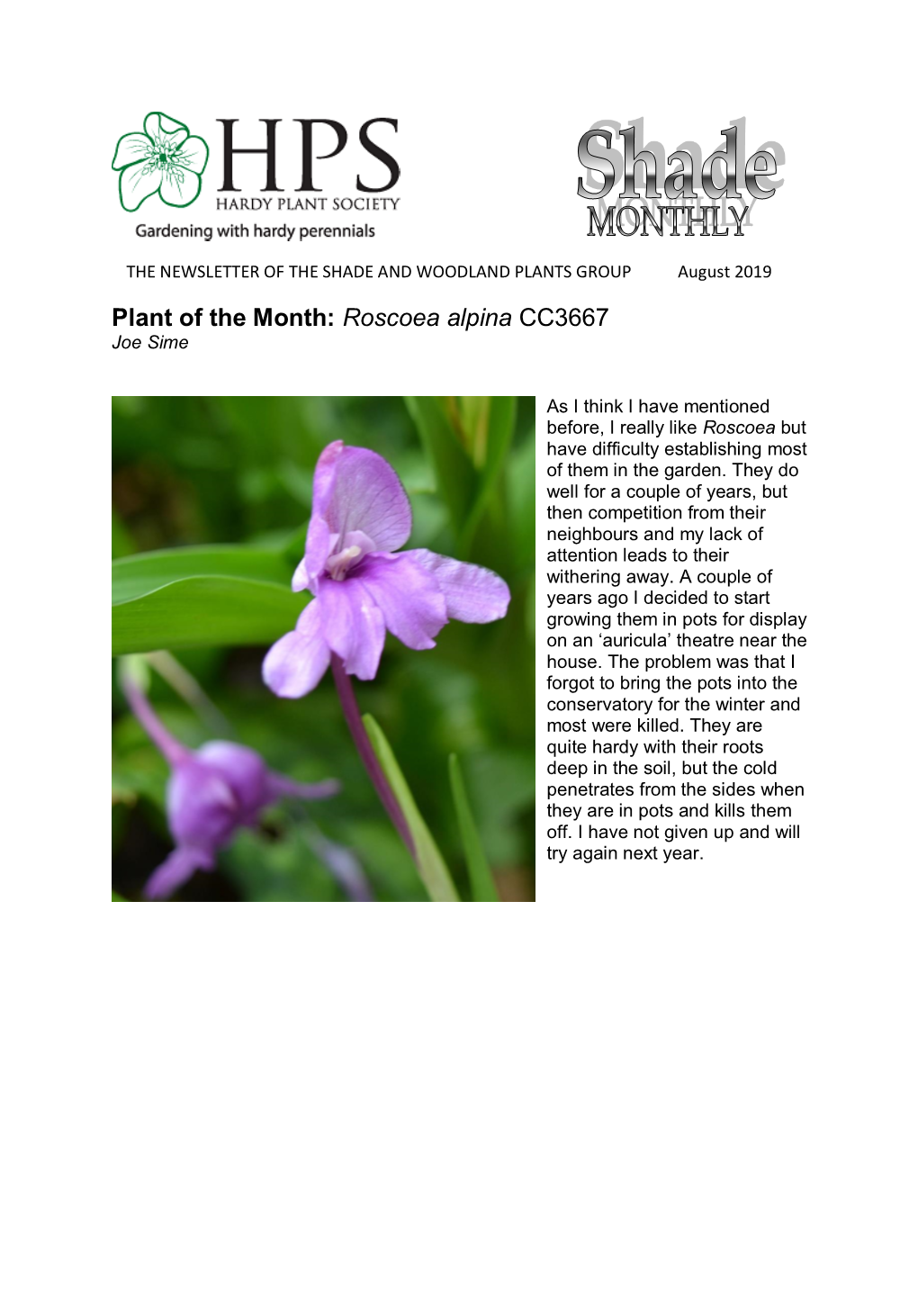 Plant of the Month: Roscoea Alpina CC3667 Joe Sime