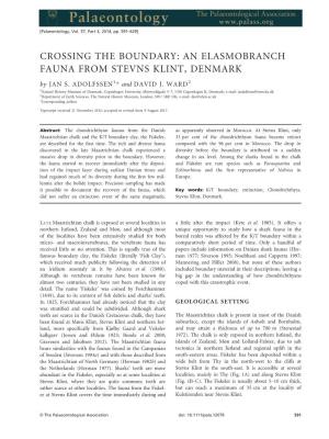 AN ELASMOBRANCH FAUNA from STEVNS KLINT, DENMARK by JAN S