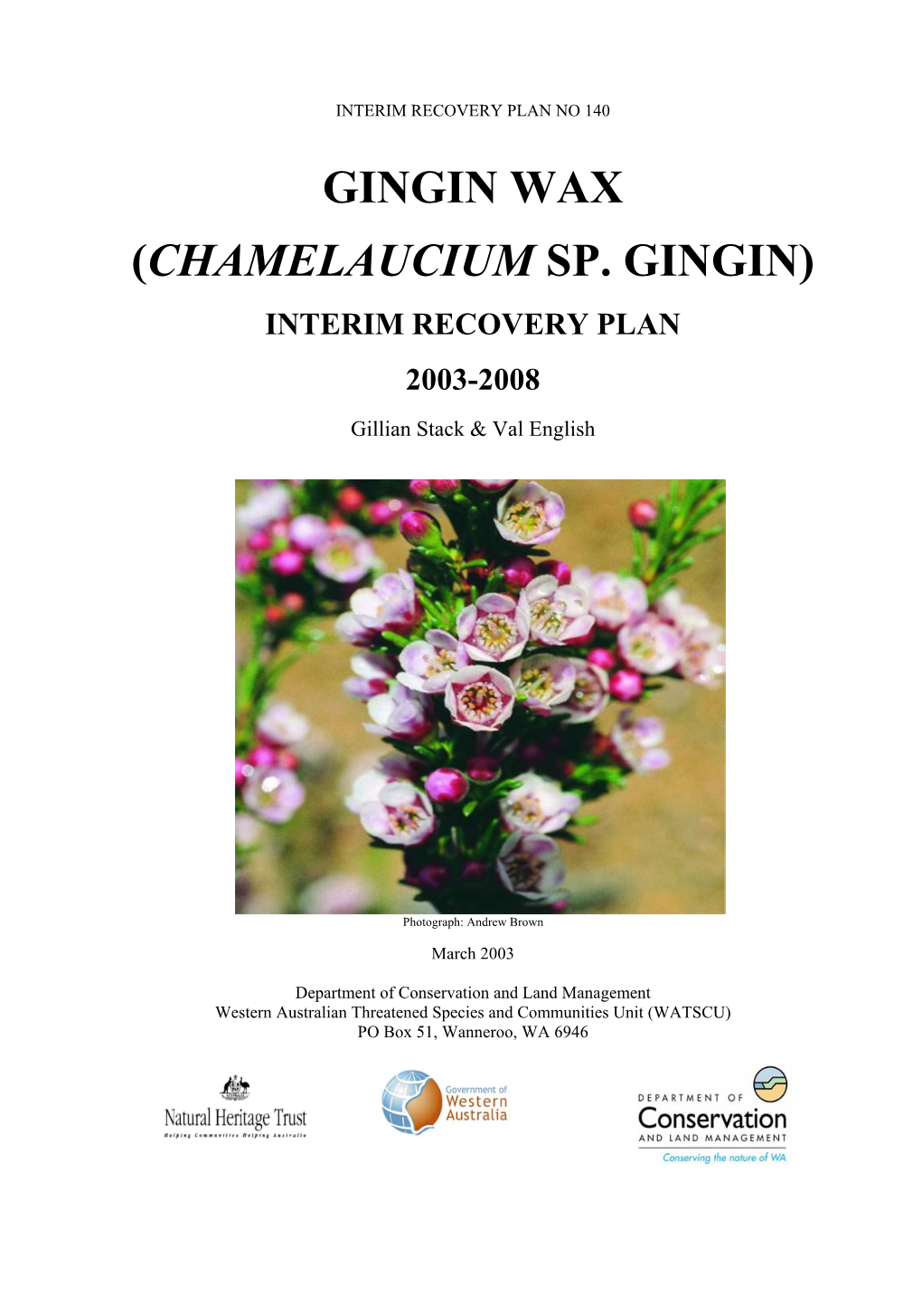 Chamelaucium Sp. Gingin)