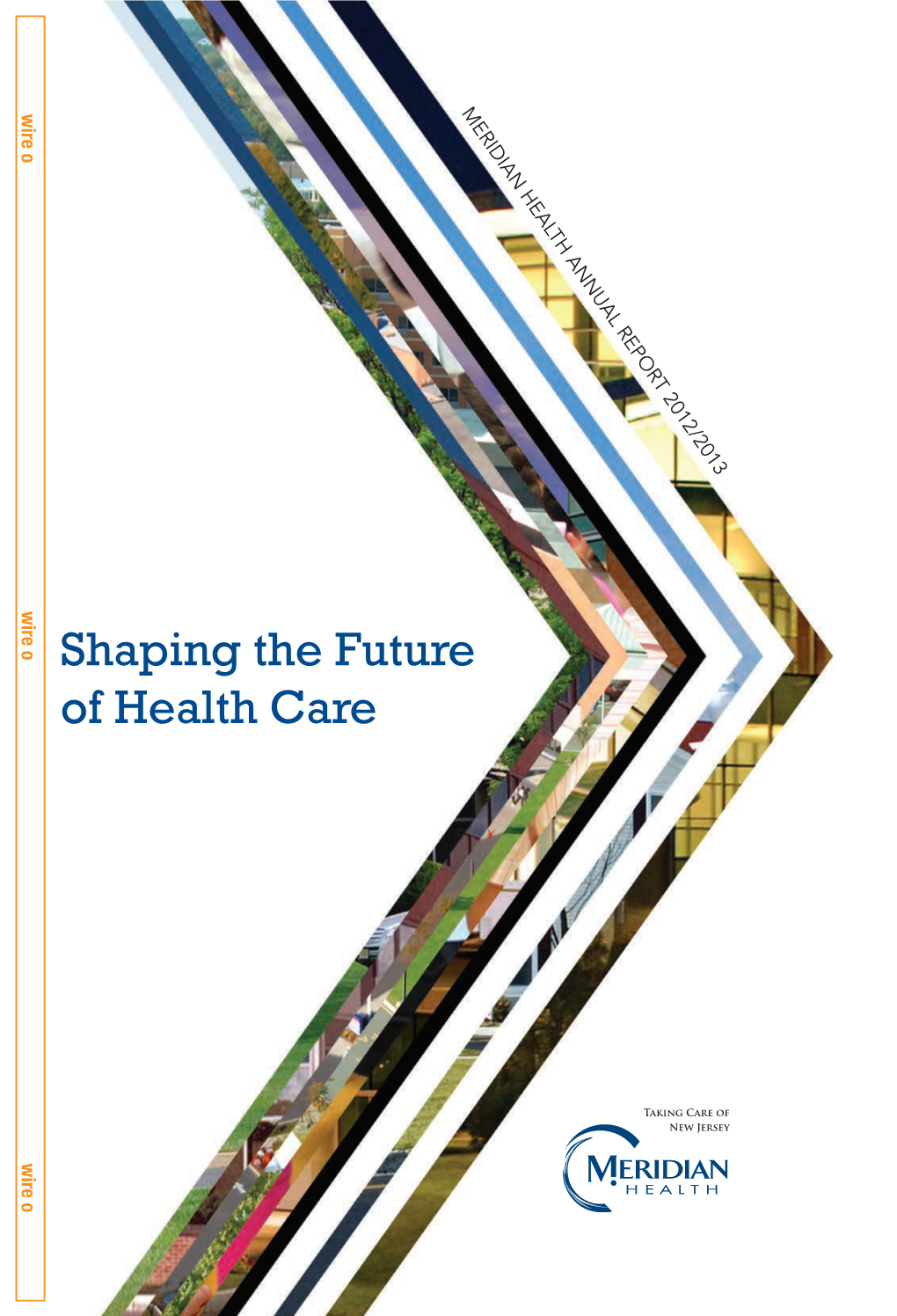 Shaping the Future of Health Care