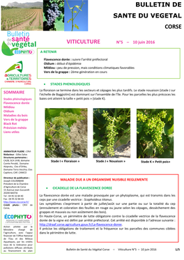 Viticulture Bulletin De Sante Du Vegetal Corse