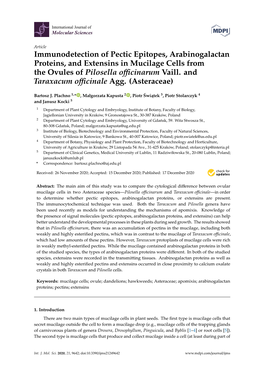 Immunodetection of Pectic Epitopes, Arabinogalactan Proteins, and Extensins in Mucilage Cells from the Ovules of Pilosella Oﬃcinarum Vaill