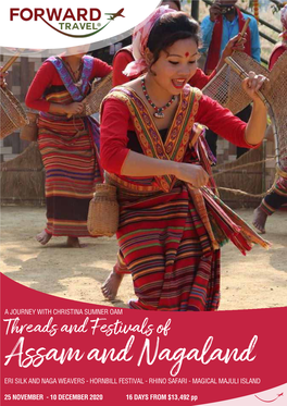 Threads and Festivals of Assam and Nagaland ERI SILK and NAGA WEAVERS - HORNBILL FESTIVAL - RHINO SAFARI - MAGICAL MAJULI ISLAND