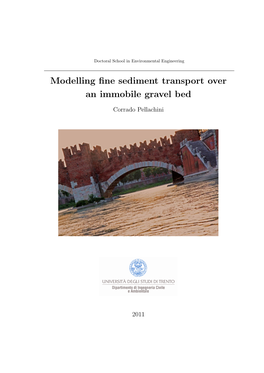 Modelling Fine Sediment Transport Over an Immobile Gravel