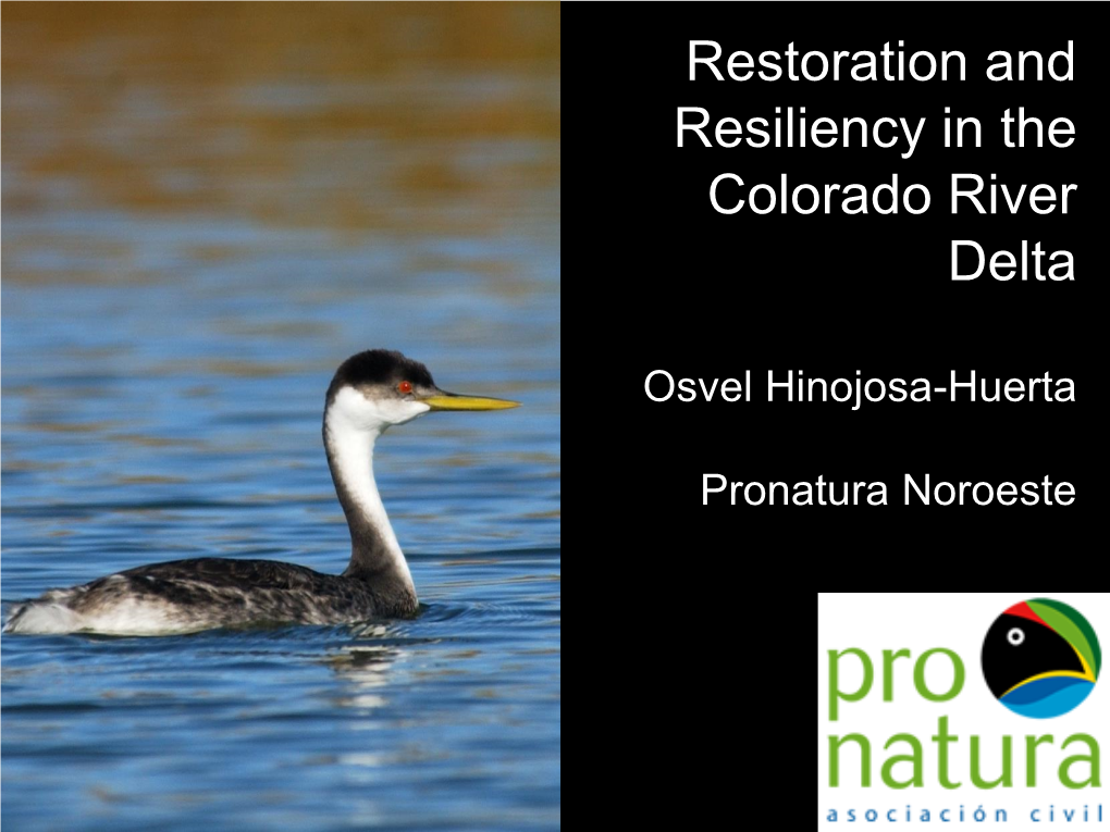 Restoration and Resiliency in the Colorado River Delta