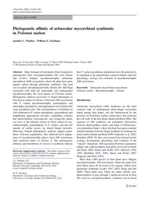 Phylogenetic Affinity of Arbuscular Mycorrhizal Symbionts in Psilotum