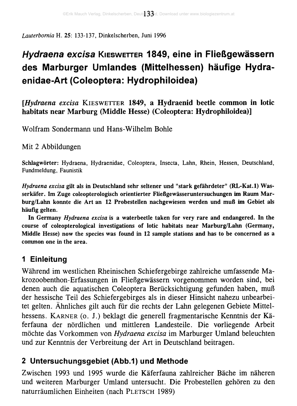 1849, Eine in Fließgewässern Des Marburger Umlandes (Mittelhessen) Häufige Hydra- Enidae-Art (Coleoptera: Hydrophiloidea)