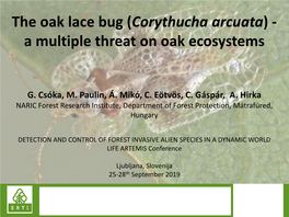 The Oak Lace Bug (Corythucha Arcuata) - a Multiple Threat on Oak Ecosystems