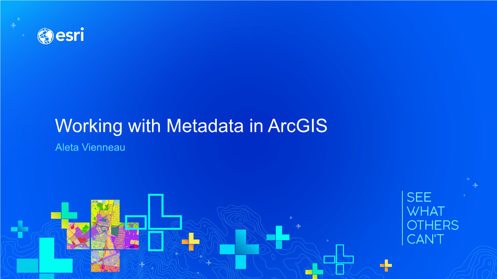 Working with Metadata in Arcgis Aleta Vienneau Working with Metadata in Arcgis