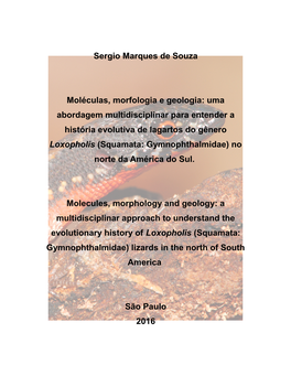 Sergio Marques De Souza Moléculas, Morfologia E Geologia