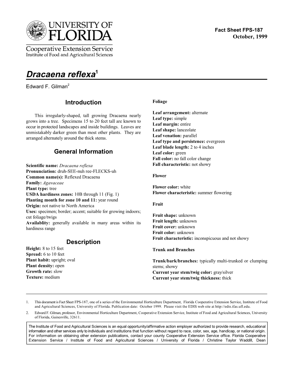 Dracaena Reflexa1