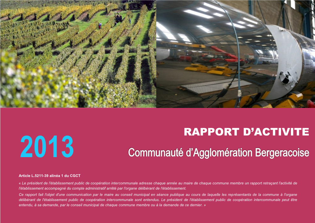 Rapport D'activités 2013