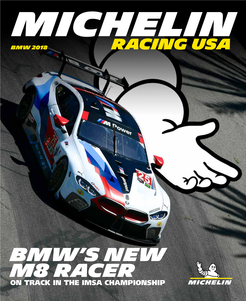 Bmw 2018 Racing Usa