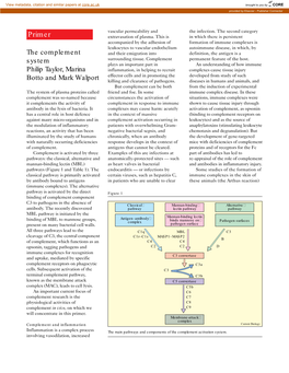 Primer the Complement System