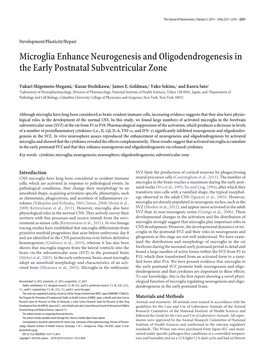 Microglia Enhance Neurogenesis and Oligodendrogenesis in the Early Postnatal Subventricular Zone