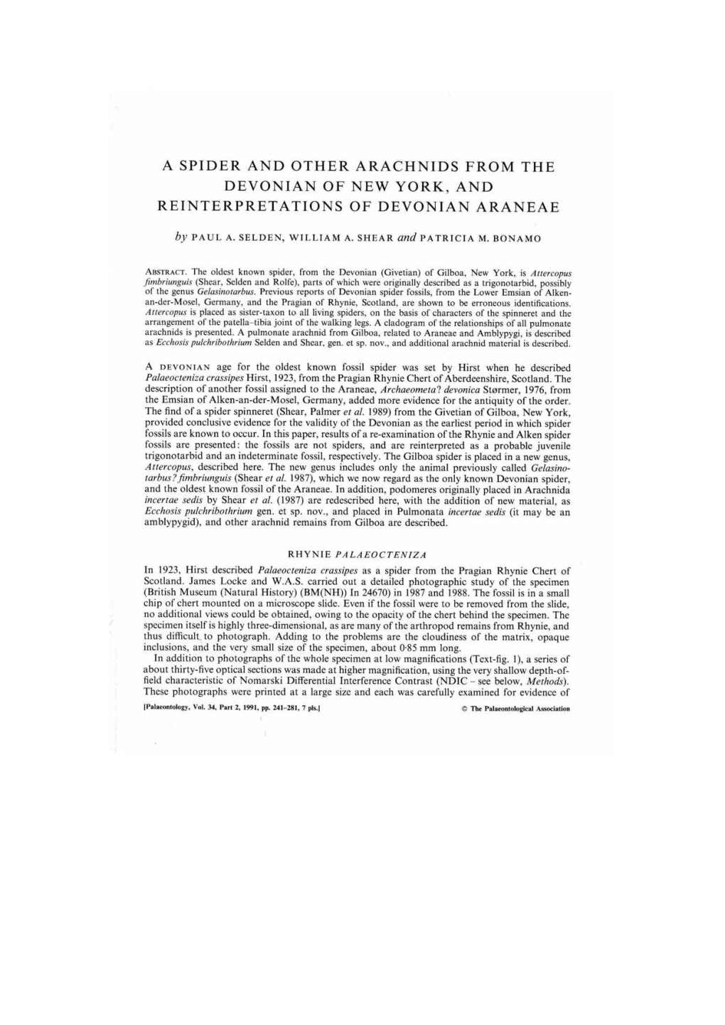 A Spider and Other Arachnids from the Devonian of New York, and Reinterpretations of Devonian Araneae