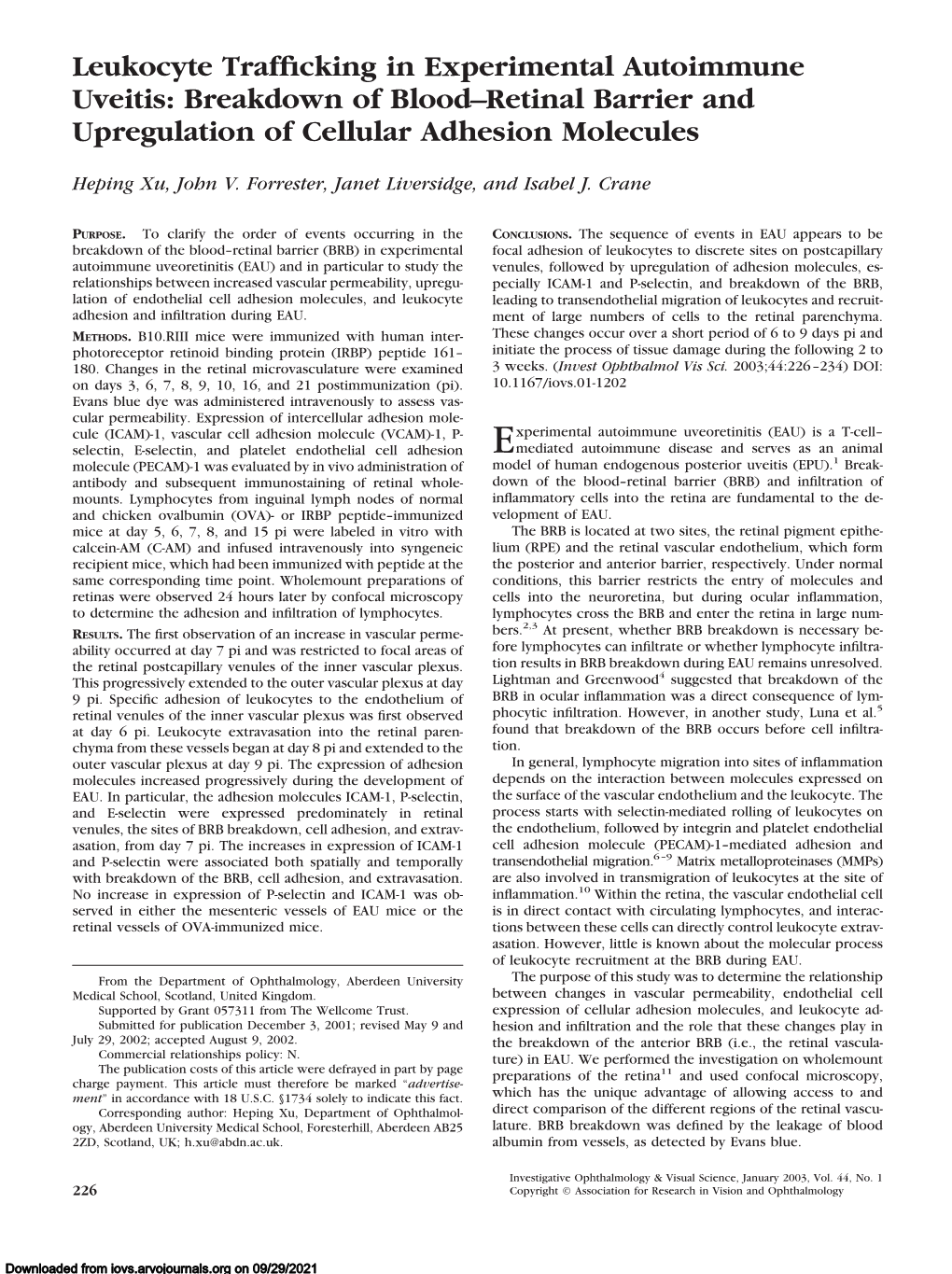 Breakdown of Blood–Retinal Barrier and Upregulation of Cellular Adhesion Molecules