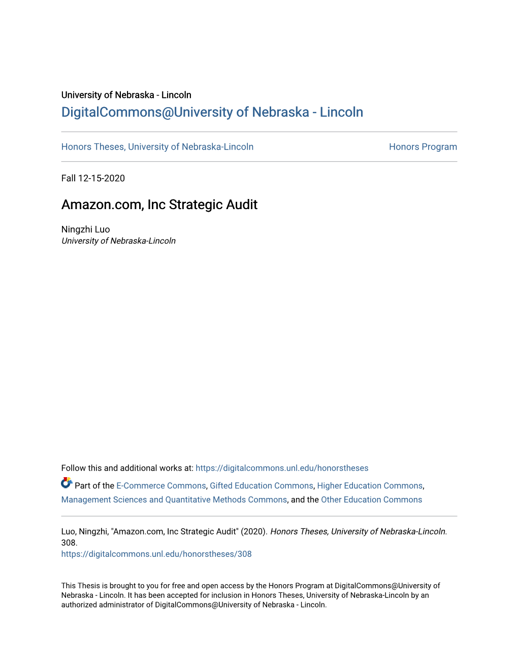 Amazon.Com, Inc Strategic Audit