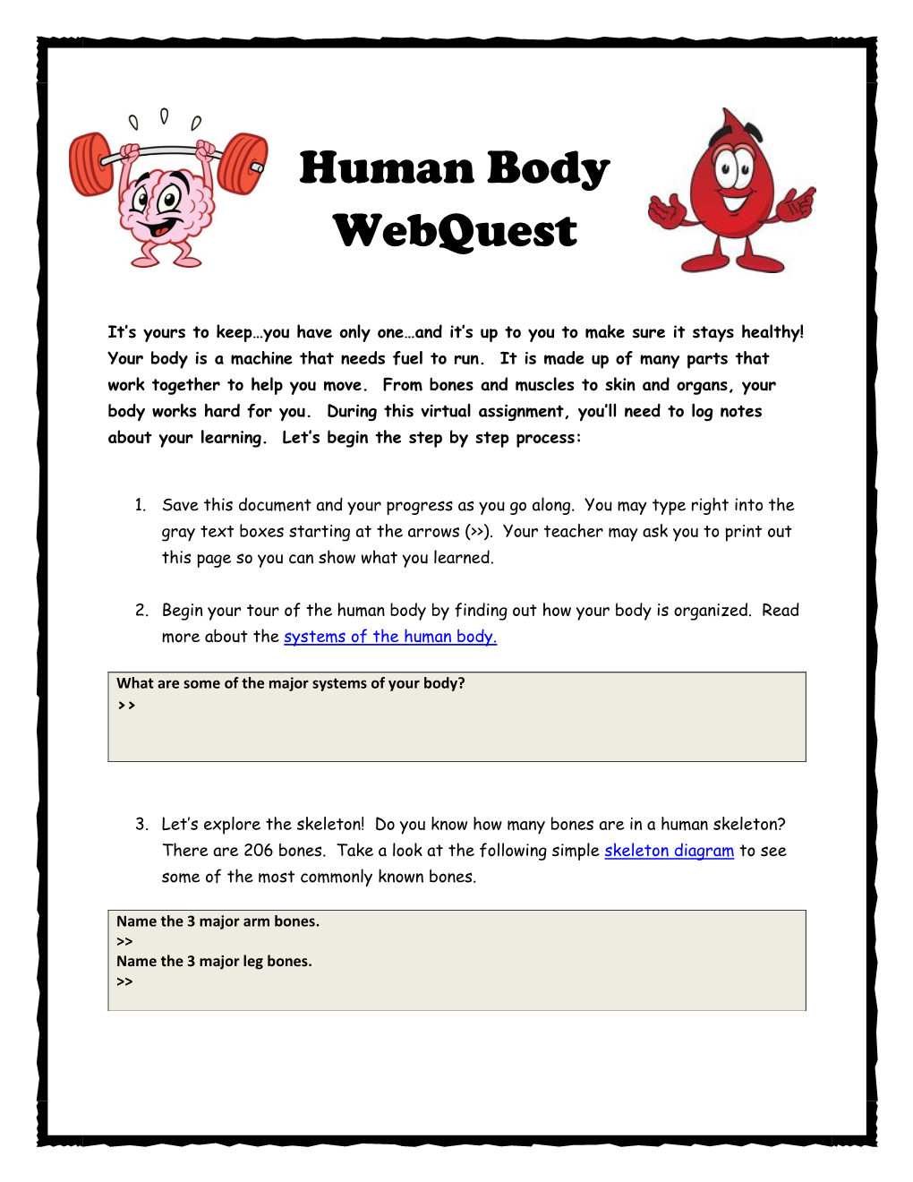 Human Body Webquest