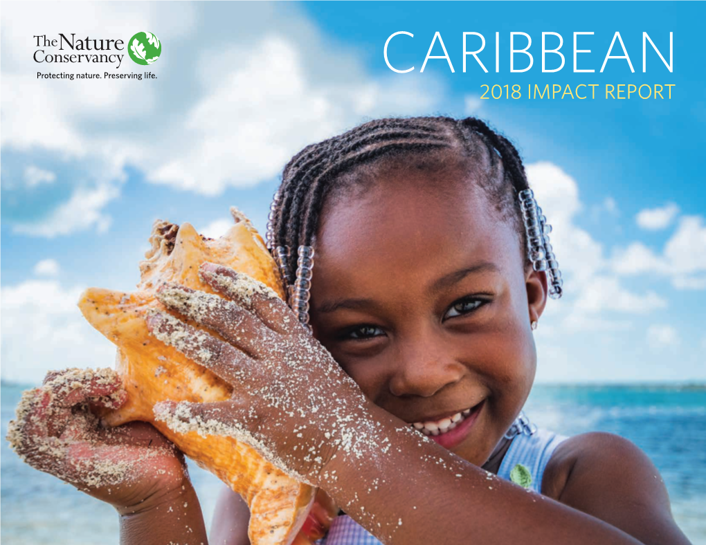 CARIBBEAN 2018 IMPACT REPORT ★ 3 Grenada Barbuda Antigua & Saint Lucia Dominica & Nevis Saint Vincent & Saint Vincent the Grenadines Saint Kitts U.S