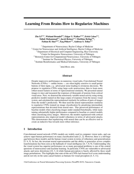 Learning from Brains How to Regularize Machines