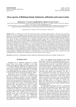 Hoya Species of Belitung Island, Indonesia, Utilization and Conservation