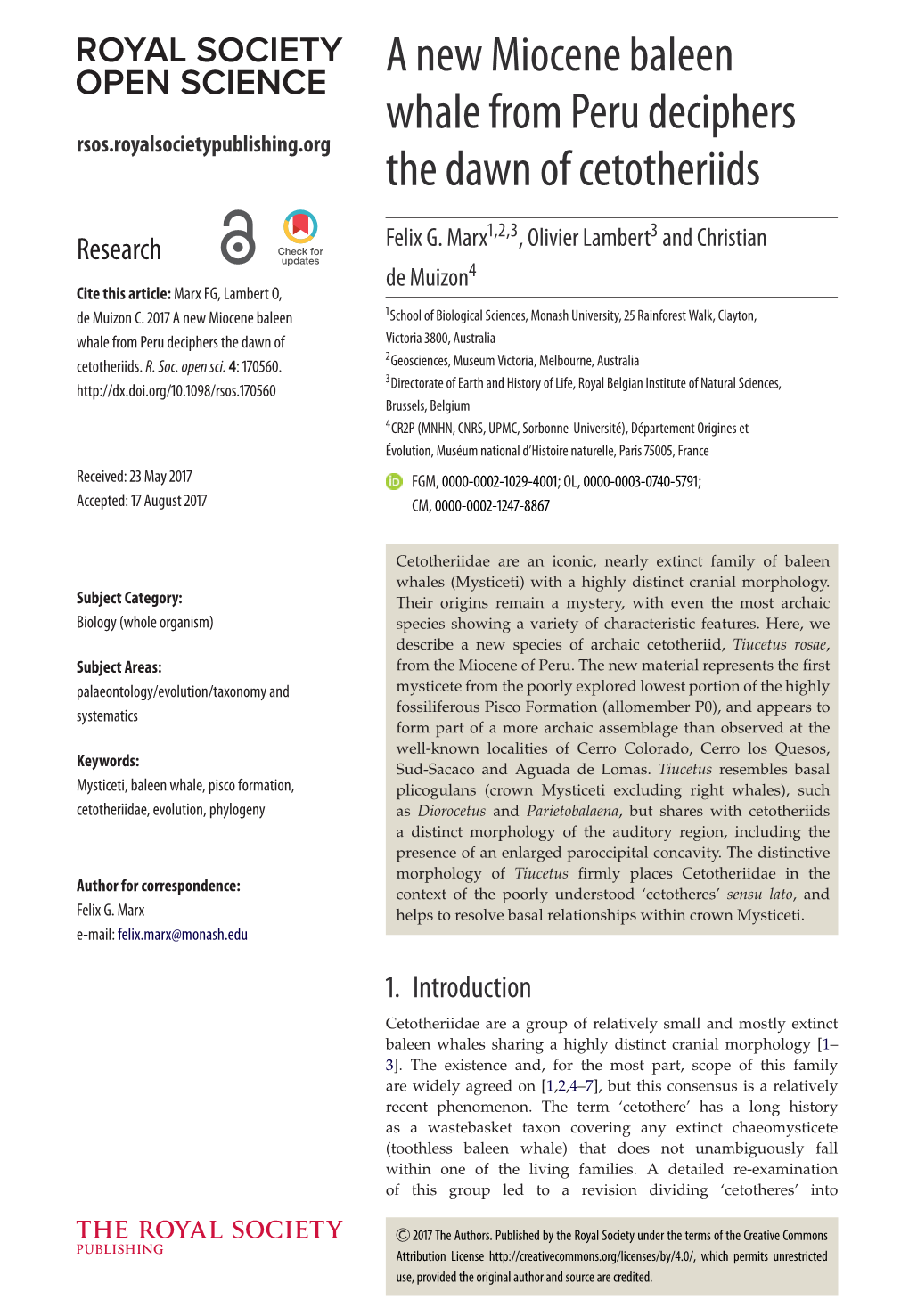 A New Miocene Baleen Whale from Peru Deciphers Rsos.Royalsocietypublishing.Org the Dawn of Cetotheriids