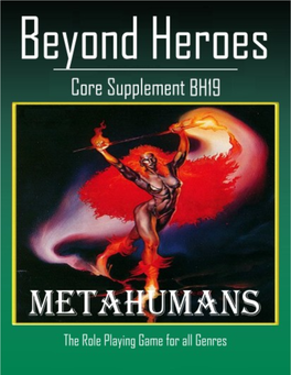 The Beyond Heroes Roleplaying Game Book: the Book of The